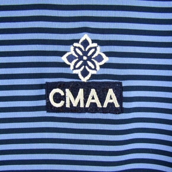 RLX Ralph Lauren Blue Stripe Golf Polo Shirt Wicking Mens Size L CMAA Logo - Picture 4 of 10